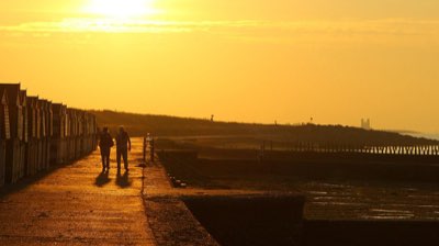 Vitamin D: 5 Ways to Boost Immunity and Bone Health Now