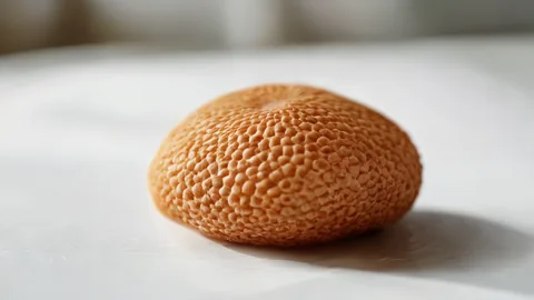 Cirrhose : 4 facteurs clés à connaître pour protéger son foie